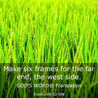 Picture 03 - Exodus 26:22 GW - Make six frames for the far end, the west - Bible Verse Picture