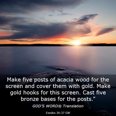 Picture 03 - Exodus 26:37 GW - Make five posts of acacia wood for the screen and - Bible Verse Picture
