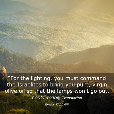 Picture 03 - Exodus 27:20 GW - “For the lighting, you must command the - Bible Verse Picture