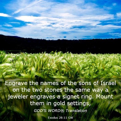 Picture 03 - Exodus 28:11 GW - Engrave the names of the sons of Israel on the - Bible Verse Picture