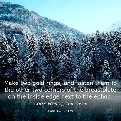 Picture 03 - Exodus 28:26 GW - Make two gold rings, and fasten them to the other - Bible Verse Picture