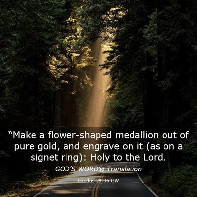 Picture 03 - Exodus 28:36 GW - “Make a flower-shaped medallion out of pure - Bible Verse Picture