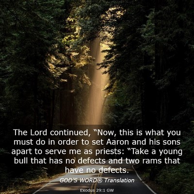 Picture 03 - Exodus 29:1 GW - The Lord continued, “Now, this is what you must - Bible Verse Picture