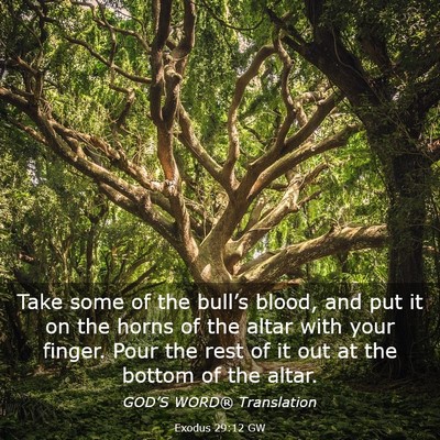 Picture 03 - Exodus 29:12 GW - Take some of the bull’s blood, and put it on - Bible Verse Picture