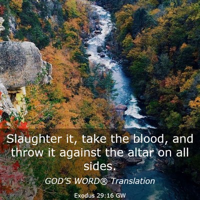 Picture 03 - Exodus 29:16 GW - Slaughter it, take the blood, and throw it - Bible Verse Picture