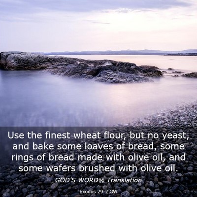 Picture 03 - Exodus 29:2 GW - Use the finest wheat flour, but no yeast, and - Bible Verse Picture