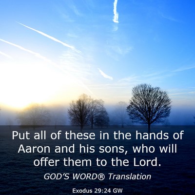 Picture 03 - Exodus 29:24 GW - Put all of these in the hands of Aaron and his - Bible Verse Picture