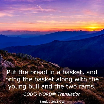 Picture 03 - Exodus 29:3 GW - Put the bread in a basket, and bring the basket - Bible Verse Picture