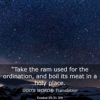 Picture 03 - Exodus 29:31 GW - “Take the ram used for the ordination, and boil - Bible Verse Picture