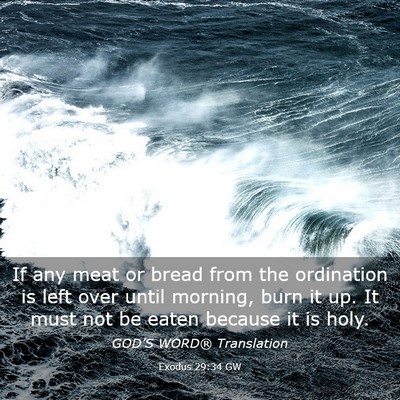 Picture 03 - Exodus 29:34 GW - If any meat or bread from the ordination is left - Bible Verse Picture