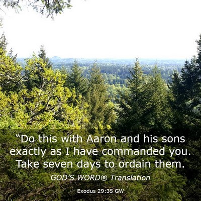Picture 03 - Exodus 29:35 GW - “Do this with Aaron and his sons exactly as I - Bible Verse Picture