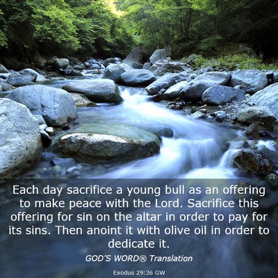 Picture 03 - Exodus 29:36 GW - Each day sacrifice a young bull as an offering to - Bible Verse Picture