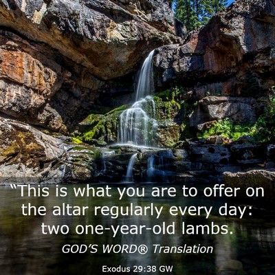Picture 03 - Exodus 29:38 GW - “This is what you are to offer on the altar - Bible Verse Picture