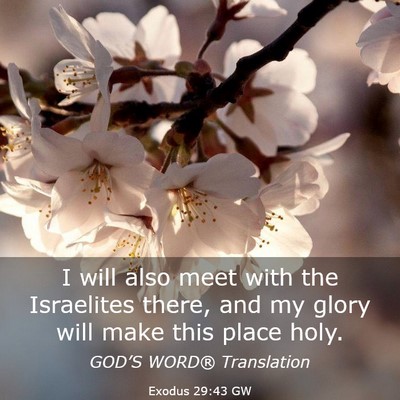 Picture 03 - Exodus 29:43 GW - I will also meet with the Israelites there, and - Bible Verse Picture