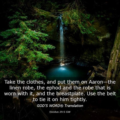 Picture 03 - Exodus 29:5 GW - Take the clothes, and put them on Aaron—the - Bible Verse Picture