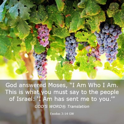 Picture 03 - Exodus 3:14 GW - God answered Moses, “I Am Who I Am. This is - Bible Verse Picture