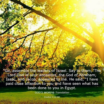 Picture 03 - Exodus 3:16 GW - “Go, assemble the leaders of Israel. Say to - Bible Verse Picture