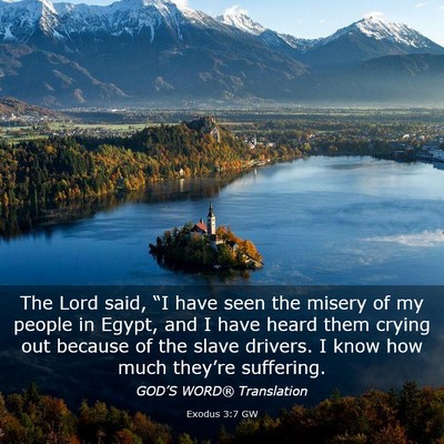 Picture 03 - Exodus 3:7 GW - The Lord said, “I have seen the misery of my - Bible Verse Picture