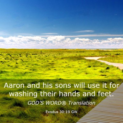 Picture 03 - Exodus 30:19 GW - Aaron and his sons will use it for washing their - Bible Verse Picture