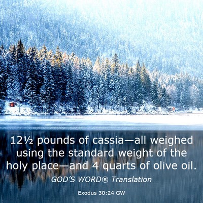 Picture 03 - Exodus 30:24 GW - 12½ pounds of cassia—all weighed using the - Bible Verse Picture