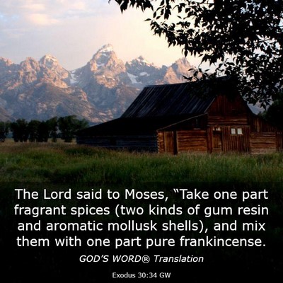 Picture 03 - Exodus 30:34 GW - The Lord said to Moses, “Take one part fragrant - Bible Verse Picture
