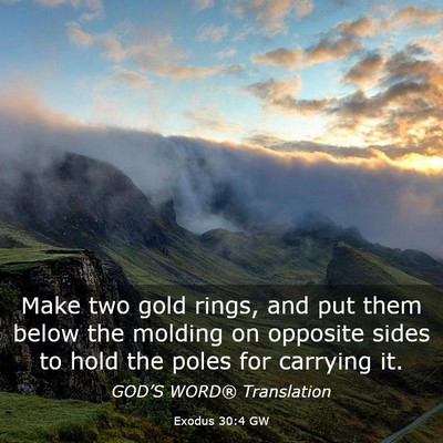 Picture 03 - Exodus 30:4 GW - Make two gold rings, and put them below the - Bible Verse Picture