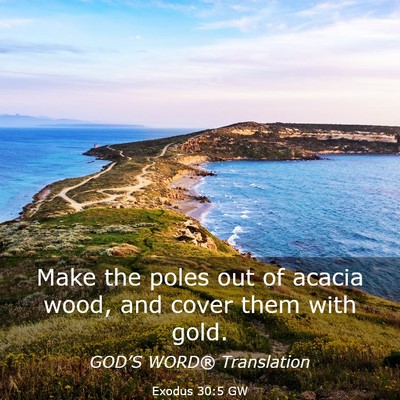 Picture 03 - Exodus 30:5 GW - Make the poles out of acacia wood, and cover them - Bible Verse Picture