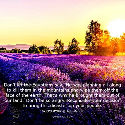 Picture 03 - Exodus 32:12 GW - Don’t let the Egyptians say, ‘He was planning - Bible Verse Picture