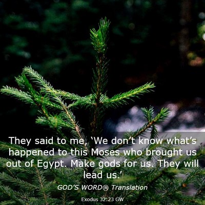 Picture 03 - Exodus 32:23 GW - They said to me, ‘We don’t know what’s - Bible Verse Picture
