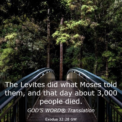 Picture 03 - Exodus 32:28 GW - The Levites did what Moses told them, and that - Bible Verse Picture
