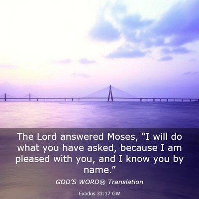 Picture 03 - Exodus 33:17 GW - The Lord answered Moses, “I will do what you - Bible Verse Picture