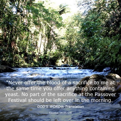 Picture 03 - Exodus 34:25 GW - “Never offer the blood of a sacrifice to me at - Bible Verse Picture