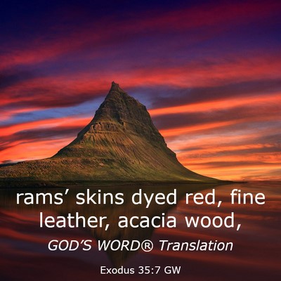 Picture 03 - Exodus 35:7 GW - rams’ skins dyed red, fine leather, acacia - Bible Verse Picture