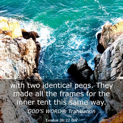 Picture 03 - Exodus 36:22 GW - with two identical pegs. They made all the frames - Bible Verse Picture