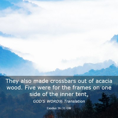 Picture 03 - Exodus 36:31 GW - They also made crossbars out of acacia wood. Five - Bible Verse Picture