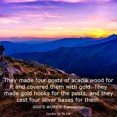 Picture 03 - Exodus 36:36 GW - They made four posts of acacia wood for it and - Bible Verse Picture