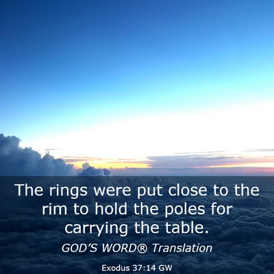 Picture 03 - Exodus 37:14 GW - The rings were put close to the rim to hold the - Bible Verse Picture