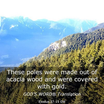Picture 03 - Exodus 37:15 GW - These poles were made out of acacia wood and were - Bible Verse Picture