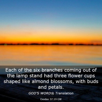 Picture 03 - Exodus 37:19 GW - Each of the six branches coming out of the lamp - Bible Verse Picture