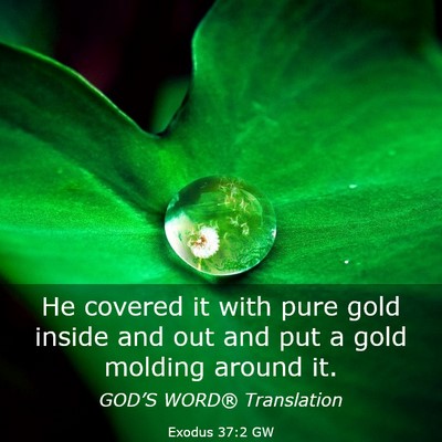 Picture 03 - Exodus 37:2 GW - He covered it with pure gold inside and out and - Bible Verse Picture