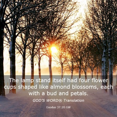Picture 03 - Exodus 37:20 GW - The lamp stand itself had four flower cups shaped - Bible Verse Picture