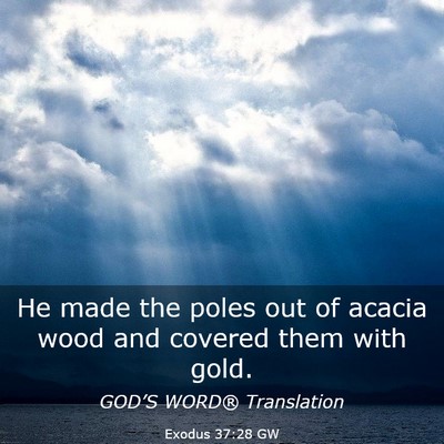 Picture 03 - Exodus 37:28 GW - He made the poles out of acacia wood and covered - Bible Verse Picture
