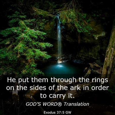 Picture 03 - Exodus 37:5 GW - He put them through the rings on the sides of the - Bible Verse Picture