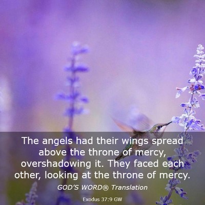 Picture 03 - Exodus 37:9 GW - The angels had their wings spread above the - Bible Verse Picture