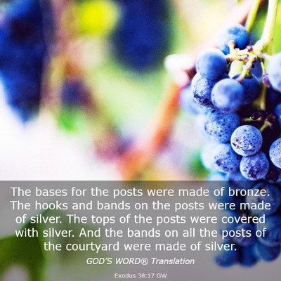 Picture 03 - Exodus 38:17 GW - The bases for the posts were made of bronze. The - Bible Verse Picture
