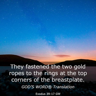 Picture 03 - Exodus 39:17 GW - They fastened the two gold ropes to the rings at - Bible Verse Picture