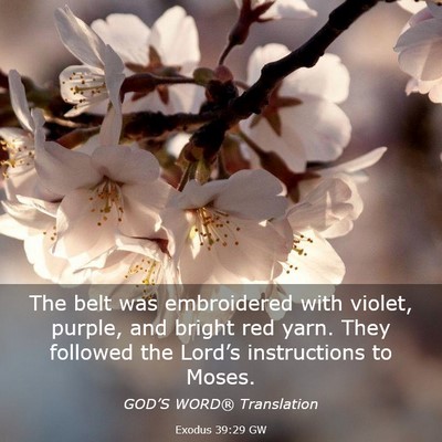 Picture 03 - Exodus 39:29 GW - The belt was embroidered with violet, purple, and - Bible Verse Picture