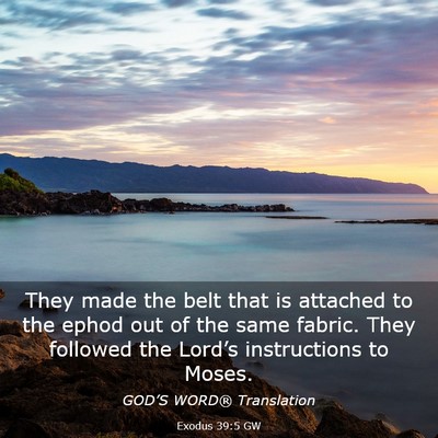 Picture 03 - Exodus 39:5 GW - They made the belt that is attached to the ephod - Bible Verse Picture