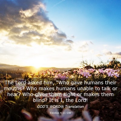 Picture 03 - Exodus 4:11 GW - The Lord asked him, “Who gave humans their - Bible Verse Picture