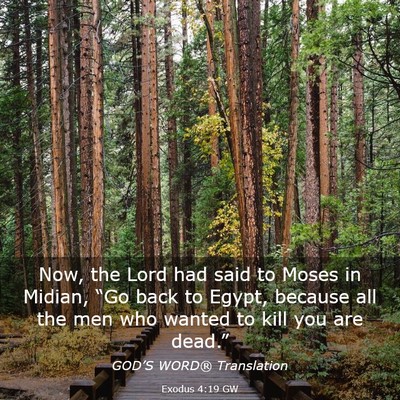 Picture 03 - Exodus 4:19 GW - Now, the Lord had said to Moses in Midian, “Go - Bible Verse Picture